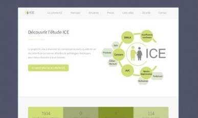Capture de la plateforme de l’étude ICE